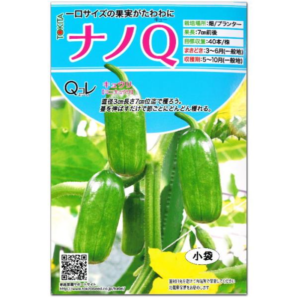 きゅうりの種 みんな探してる人気モノ きゅうりの種