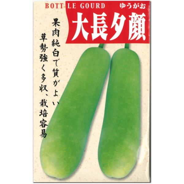 大長夕顔 ゆうがお 種子 10ml