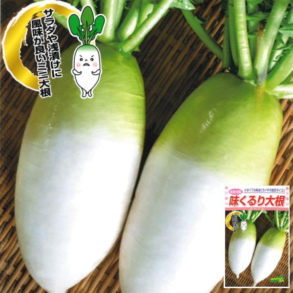 ★小袋種子の配送便と送料についてお願い小袋種子のみのご注文は、メール便にて全国一律180円で送付させて頂きます。ご注文時から概ね３日間ほどで出荷します。 代引き・着日時間指定は出来ませんので、予めご了承願います。--------------...