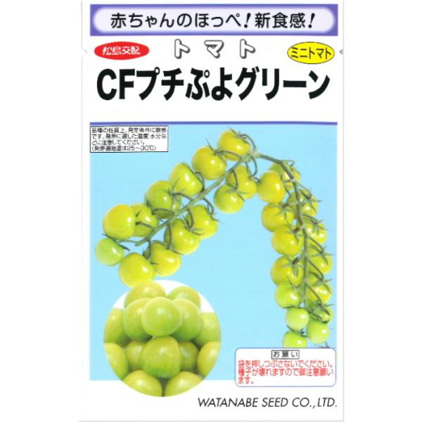 ★小袋種子の配送便と送料についてお願い小袋種子のみのご注文は、メール便にて全国一律180円で送付させて頂きます。ご注文時から概ね３日間ほどで出荷します。 代引き・着日時間指定は出来ませんので、予めご了承願います。--------------...