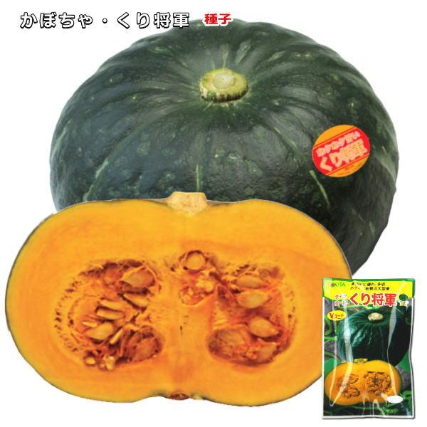 ★小袋種子の配送便と送料についてお願い小袋種子のみのご注文は、メール便にて全国一律180円で送付させて頂きます。ご注文時から概ね３日間ほどで出荷します。 代引き・着日時間指定は出来ませんので、予めご了承願います。--------------...