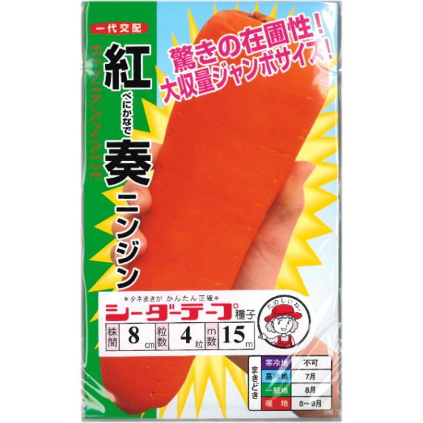 ニンジン 種子 紅奏 べにかなで 【シーダーテープ種子 8cm-4粒-15m 】人参