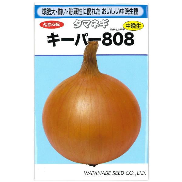 タマネギ 種子 キーパー808　2.8ml 玉ねぎ