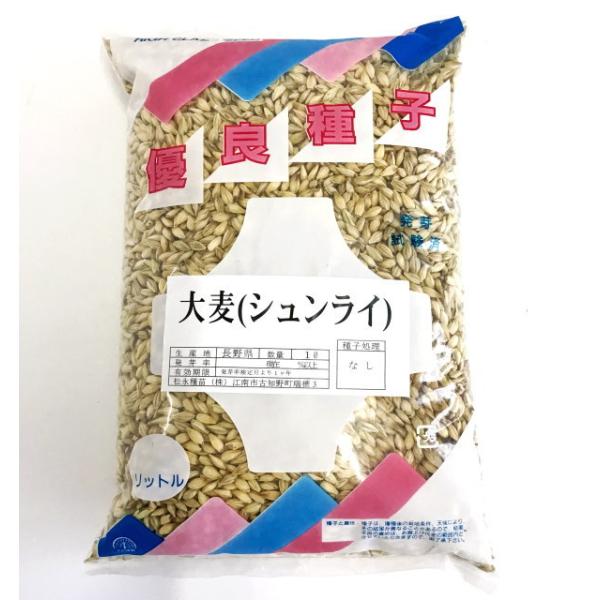 大麦 種子 シュンライ　1リットル