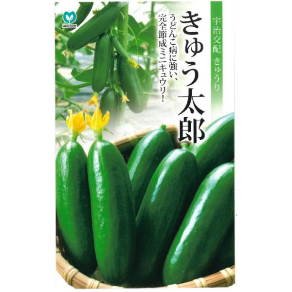 ★小袋種子の配送便と送料についてお願い小袋種子のみのご注文は、メール便にて全国一律180円で送付させて頂きます。ご注文時から概ね３日間ほどで出荷します。 代引き・着日時間指定は出来ませんので、予めご了承願います。--------------...