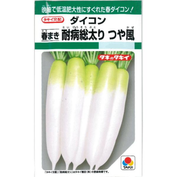 ダイコン【 春まき 耐病総太り つや風 】---------------------------トウ立ちが遅く、低温下での肥大性が優れる春まき大根！萎黄病に強く栽培しやすいので、春まき大根にオススメ♪--------------------...