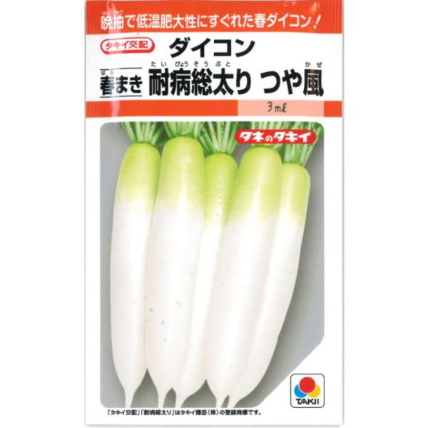 ダイコン【 春まき 耐病総太り つや風 】---------------------------トウ立ちが遅く、低温下での肥大性が優れる春まき大根！萎黄病に強く栽培しやすいので、春まき大根にオススメ♪--------------------...