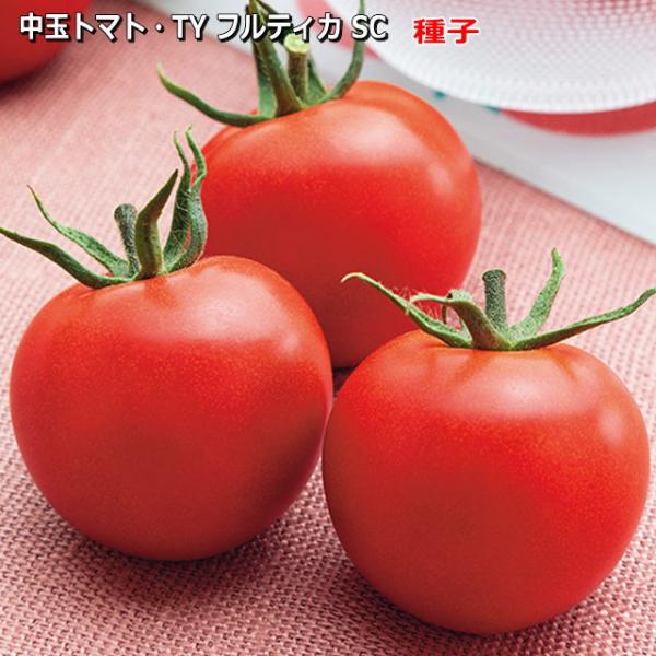 TYフルティカ SC  中玉 トマト 種子 100粒 とまと