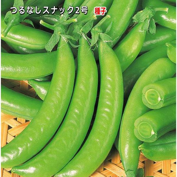 エンドウ・つるなしスナック2号 30ml