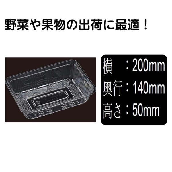 フルーツケース　100P　AP-21