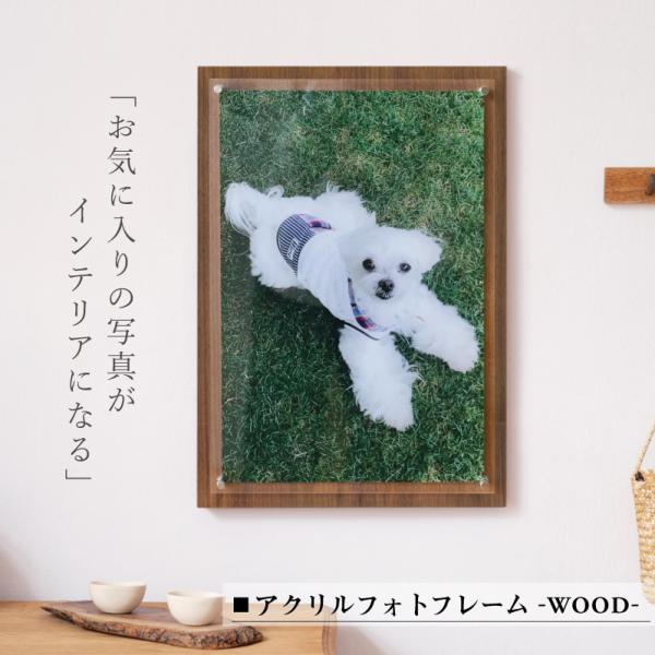 tHgt[ ʐ^ vg M bZ[W  ʐ^ Ǌ| c  摜 Mtg ybg  ANtHgt[WOOD