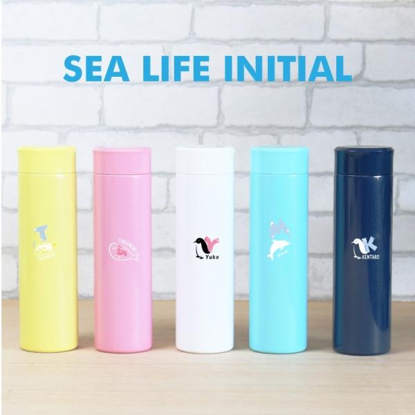   400ml X y y RpNg ^fM ۉ ۗ  lC qǂ   SeaLifeCjV{g GAXg