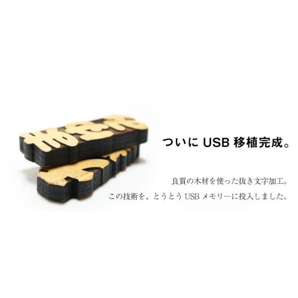 USB USB 4GB  ؐ   ސEj AEj Əj  ؐUSB 4GB 5cƓo i摜1