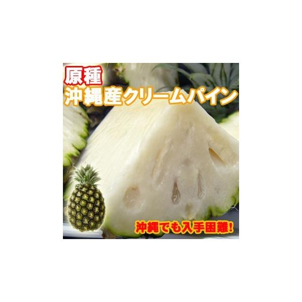 パイナップル 原種 クリームパイン 5kg（4〜6玉） 沖縄 パイン