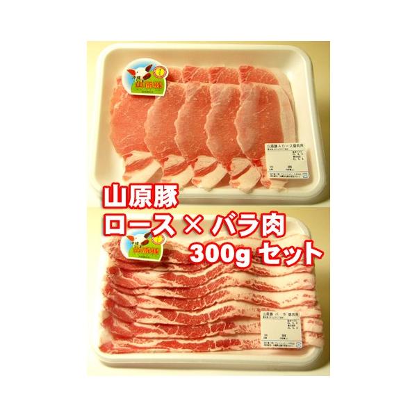 yz R؁i؁j y3?4lOZbgz [Xi300gj oi300gjZbg ēp5mmAԂԗp2mm  yRCPzyꌧ_YWz