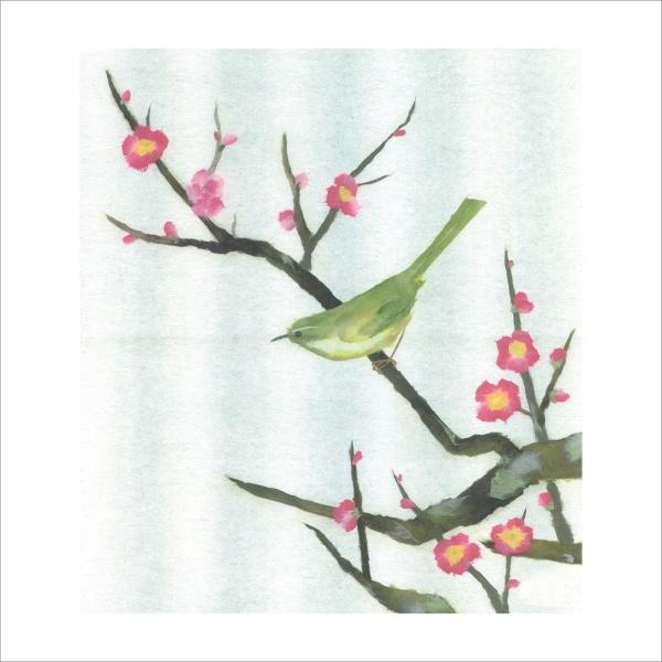 nagaharuap_ck-192