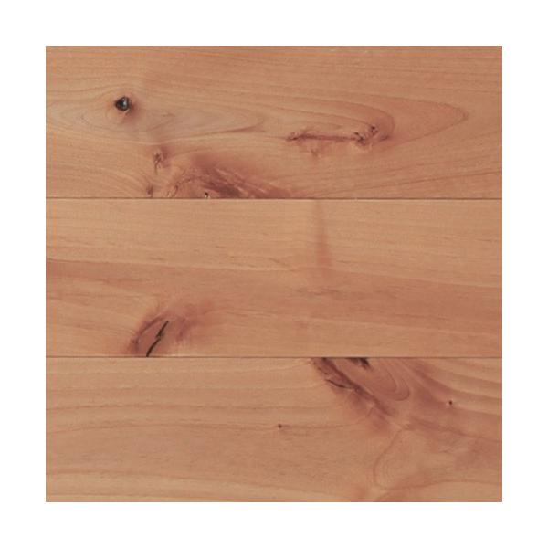 mbeB[A_[ Ct[O@ICdグ@i`