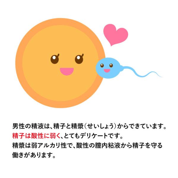 nagaikiya-honpo_517f12_3