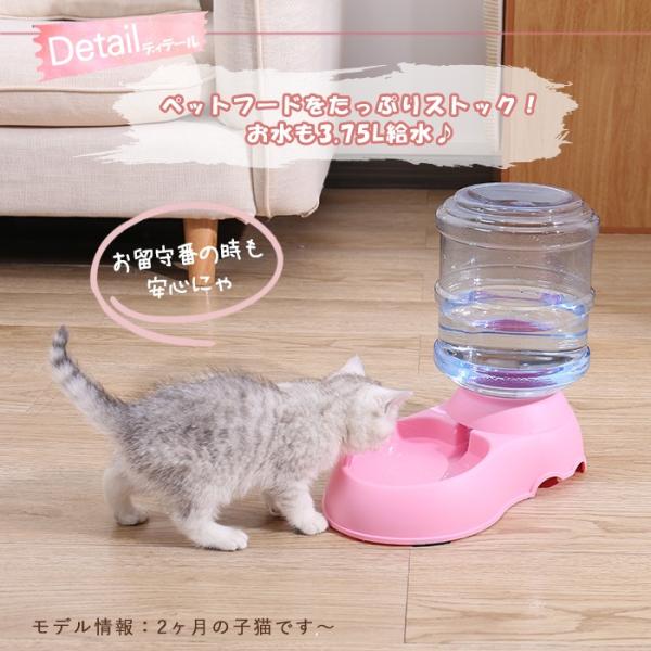 ペット ボトル 水 猫