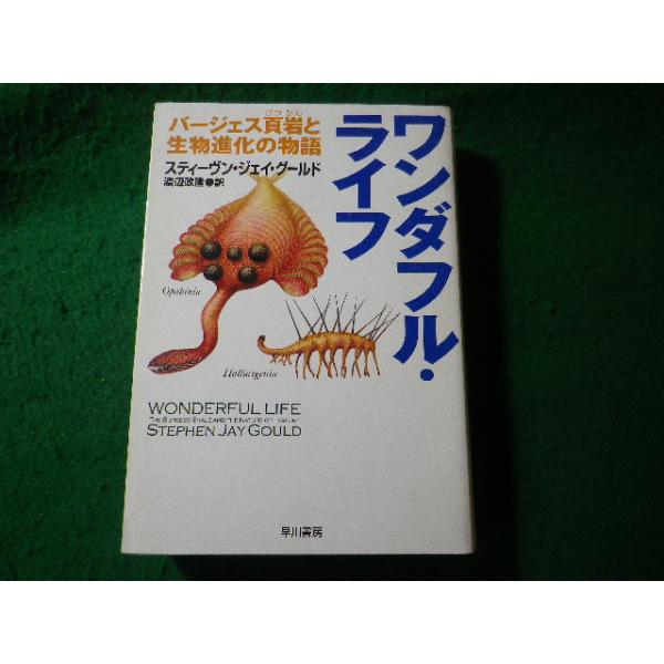 ■ワンダフル・ライフ　バージェス頁岩と生物進化の物語　スティーヴン・ジェイ・グールド　早川書房■FASD2026080427■