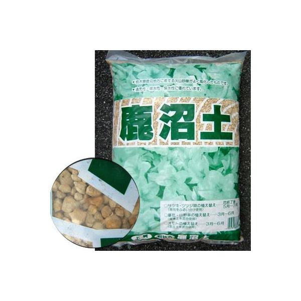 @ǎ̎y@17k (kCAk1000EA2000ʓrj