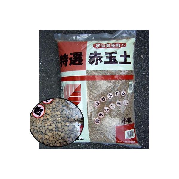 ǎ̐ԋʓyi嗱j@PVk(tuti-18)