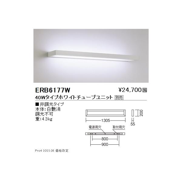 ERB6177W Ɩ eNjJAbp[ TUBE40W×1yvʔz