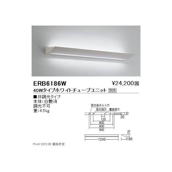 ERB6186W Ɩ eNjJAbp[ TUBE40W×1yvʔz