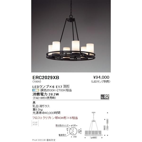 ERC2029XB Ɩ VfAyvʔz