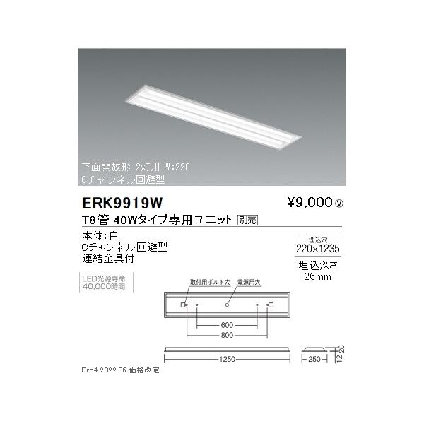 ERK9919W Ɩ ʊJ sW SOv×Qyjbgʔz