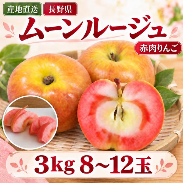 ＼昨年TV紹介で注目／ 赤肉りんご「ムーンルージュ」3kg8〜12玉 送料込 【10月中旬順次出荷予定】希少品種 (沖縄配送不可）