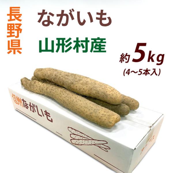 信州長野県山形村の名産、粘りの強い長芋です。寒暖差の大きい高原地帯で丁寧に育てられた長いもは、シャキシャキとした歯ざわりと優しい甘みが特徴です。5kg入りは大ぶりの長芋が4-5本となります。擦りおろせばふわっとしたとろろに、輪切りにすればシ...