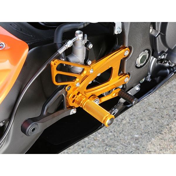 のり アグラス CBR1000RR-R リアスプロケットガード（カーボン