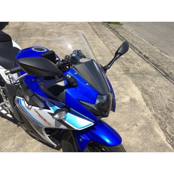 アクリポイント スクリーン クリア ストリート GSX250R : 長尾