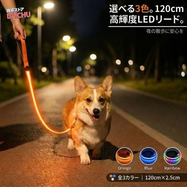 犬用 リード 光る LED発光 USB 充電式 防水 反射材 夜光 夜間安全 事故防止 お散歩 小型犬 中型犬 大型犬 ブルー オレンジ 虹色 爆買 超PayPay祭