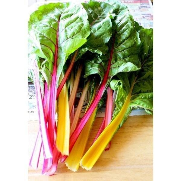 スイスチャード ８０ｇ 無農薬 無化学肥料栽培 埼玉県加須市 遠藤農園産 0015 Natural Stores 通販 Yahoo ショッピング