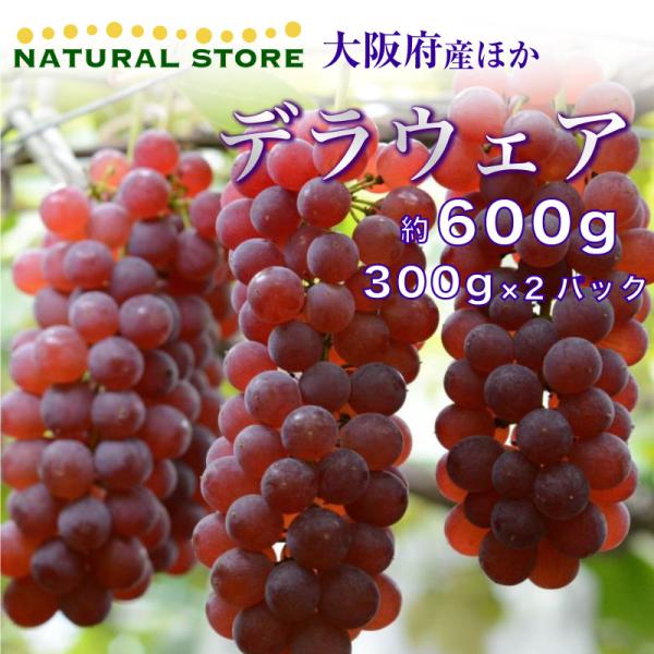 種なし ぶどうの人気商品 通販 価格比較 価格 Com