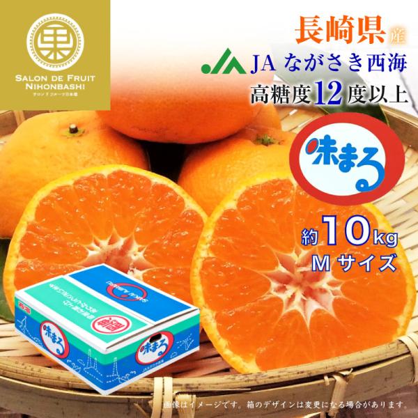 高級 みかん 贈答用 - フルーツの人気商品・通販・価格比較 - 価格.com