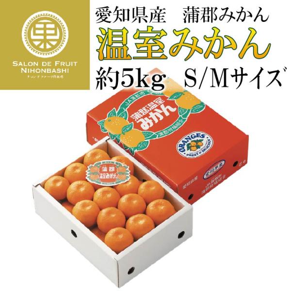 みかん 箱 5kg その他のフルーツの人気商品 通販 価格比較 価格 Com