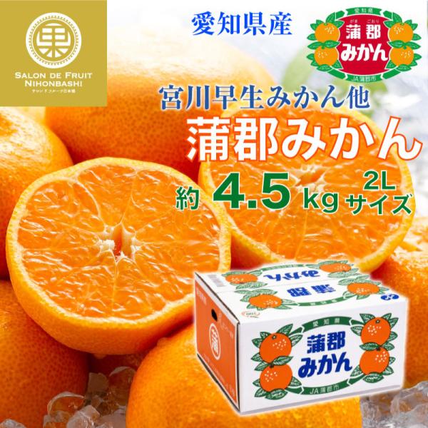 蒲郡みかん フルーツの人気商品 通販 価格比較 価格 Com