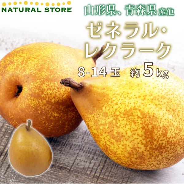 梨 お歳暮の人気商品・通販・価格比較 - 価格.com 梨 お歳暮の人気商品・通販・価格比較 - 価格.com