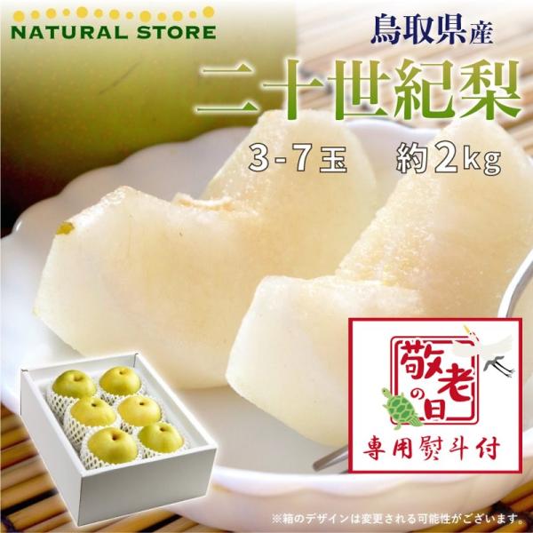 鳥取県産 梨 - 食品の人気商品・通販・価格比較 - 価格.com