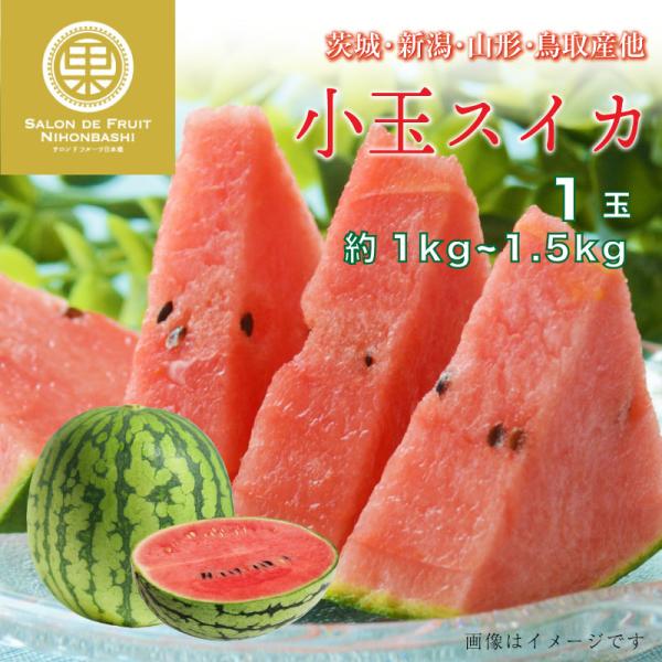 スイカ プレゼントの人気商品 通販 価格比較 価格 Com