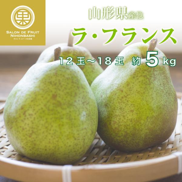 山形県産 ラ・フランス - フルーツの人気商品・通販・価格比較 - 価格.com 山形県産 ラ・フランス - フルーツの人気商品・通販・価格比較 - 価格.com