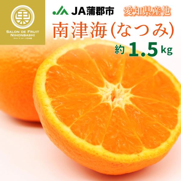 信憑 G0190 蒲郡みかん おてんば娘 約５kg Www Edamalakudystelles In