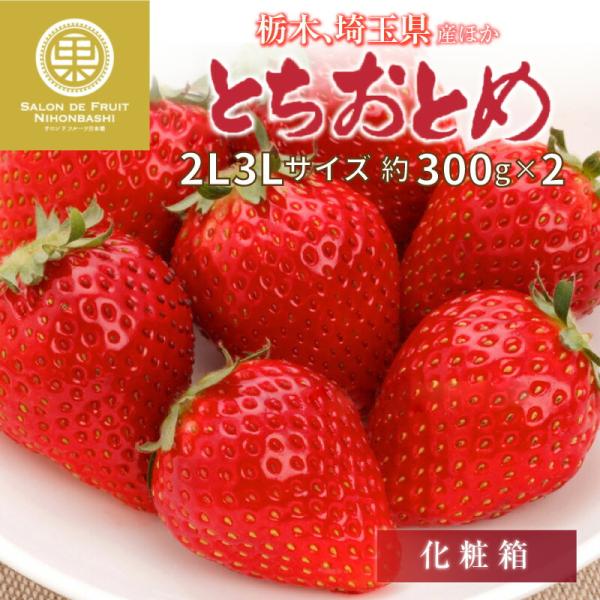 [日時指定可能] とちおとめ 約300g×2 2L3Lサイズ 栃木県産他 果実専用箱  いちご 上級品