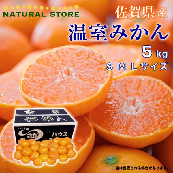 みかん 箱 5kg その他のフルーツの人気商品 通販 価格比較 価格 Com
