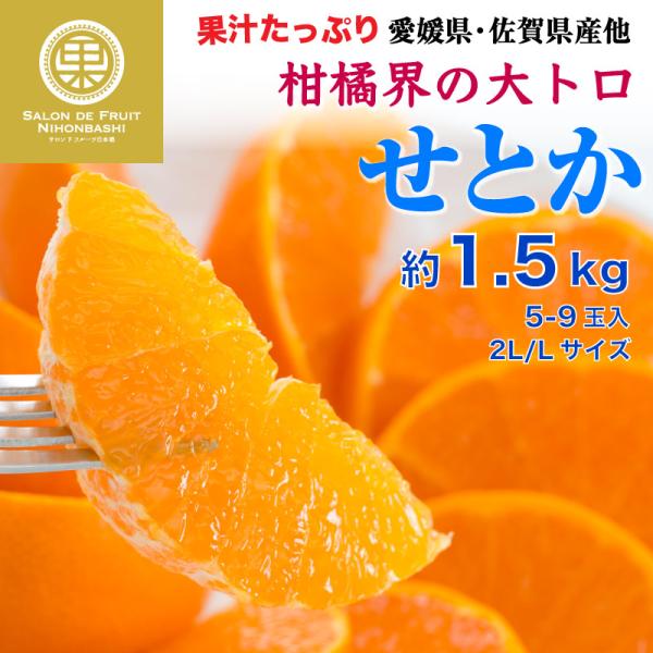 2022新作 Pre Autumn 大トロみかん❣️せとか 2kg 9 - 果物