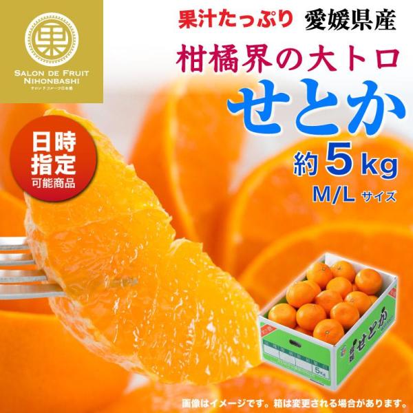 公式店 爺のせとか 極上 箱込み5kg ストアスペシャルセール Aego Co Rs