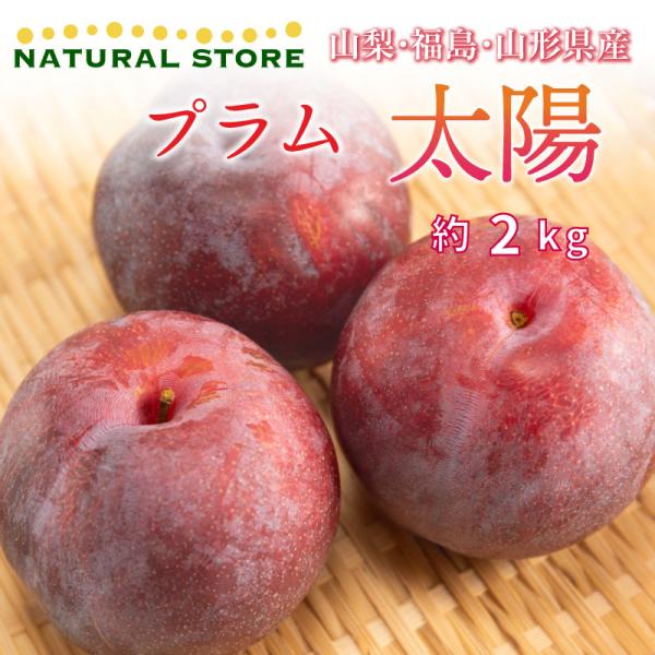 すもも プラムの人気商品 通販 価格比較 価格 Com